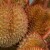 Durian, the King of the Exotic Fruits Durian, the King of the Exotic Fruits