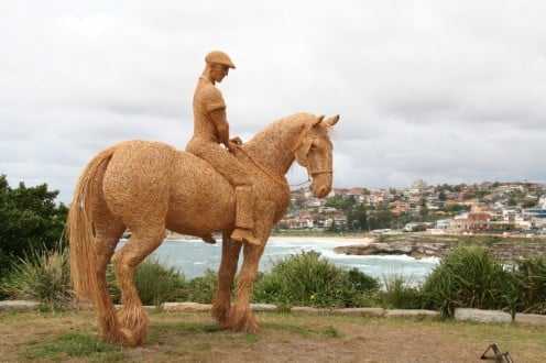 Horse and rider looking towards Bronte Beach