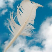 PositiveThinker profile image