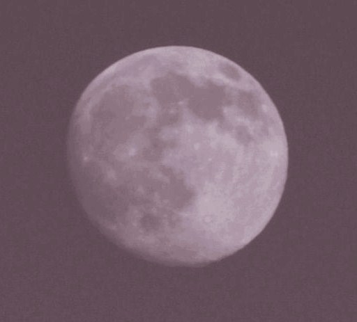 The Moon 2009