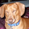 lalila profile image