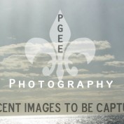 pgee profile image
