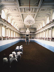 The magnificent Riding Hall inside the Imperial Palace