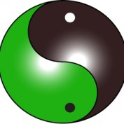 zentactics profile image