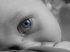 Photo:  HooverFamilyPhotos, Flickr