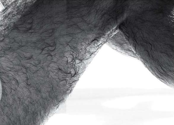 HubPages profile picture for @masculine