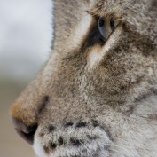 saram profile image