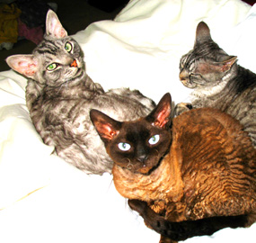 All Together Now!