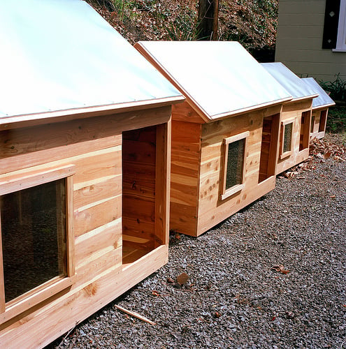 A Perfect Size Dog House for Every Dog! Flickr image by Brandongreer