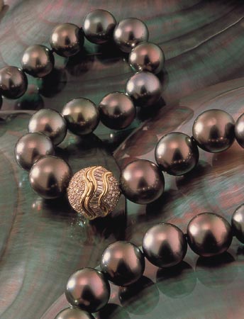 The famous Tahiti black pearl