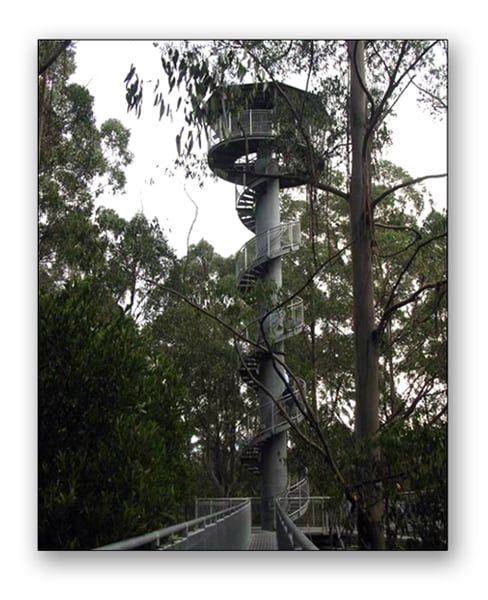 Tower on the Sky walk in the Otways