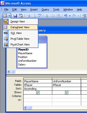 Execute the query by selecting "Datasheet View"