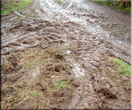 Muddy lane to my house