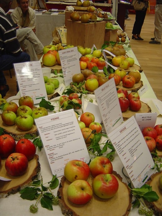 Apples and pears are an important part of the Limousin economy