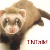 tntalk profile image