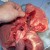 More heartworms in another lung lobe. More heartworms in another lung lobe.