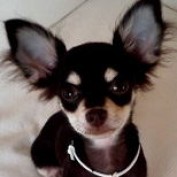 charly1905 profile image