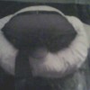 Sully B.3 profile image