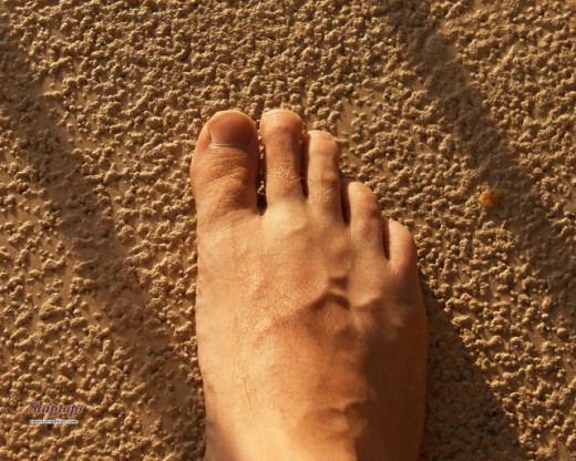 For the aspiring Podiatrist or foot fetish fellow in your life!