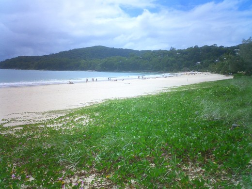 Located on the Sunshine Coast is the idyllic Noosa Beach