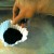 The Poor Man's Grinder, pinch some of the coffee between your fingers... The Poor Man's Grinder, pinch some of the coffee between your fingers...