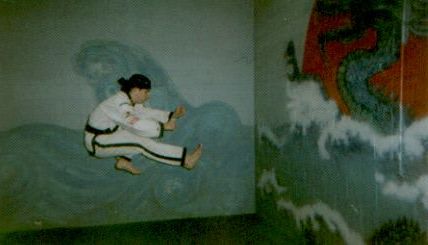 Flying front thrust kick (c) Patty Inglish 1999-2009, all rights reserved).