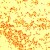 Gram-negative E. coli is pink after Gram staining.Magnification 1000xTM. T. Port Gram-negative E. coli is pink after Gram staining.Magnification 1000xTM. T. Port