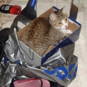 shoesellingserver profile image