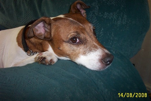 I might look innocent, but I was a bad lad