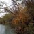 A view of Brush Creek in Round Rock, Texas.