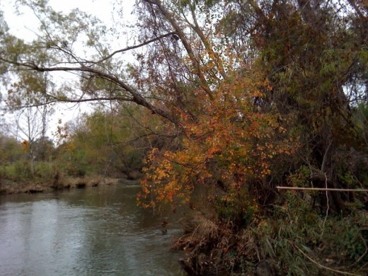 A view of Brush Creek in Round Rock, Texas.