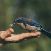 Kalanaag profile image