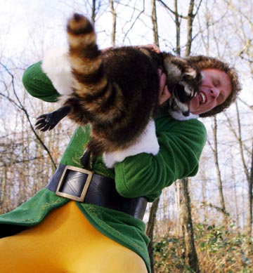 Elf 