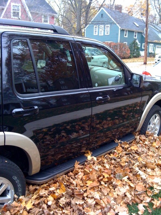 To get to the Cafe, we parked in a huge pile of leaves! Apparently they rake them to the curb and trucks pick them up.