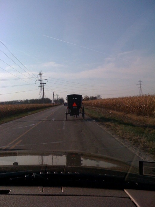 The famous Amish buggy.