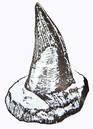 Fossolized Leopleurodon tooth.  Little is available to us of this great carnivore.    photo prehistoricstore.com
