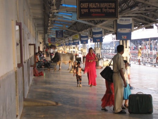 Yoga was invented at an Indian train station. Probably.