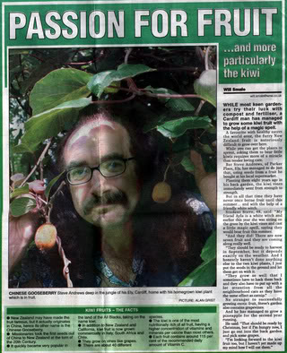 Bard of Ely and kiwi fruit in South Wales Echo (press cutting)