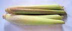 Use only bottom 2 inches of the stalk
