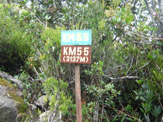 5.5 km Kota Kinabalu Park