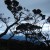 View from Laban Rata