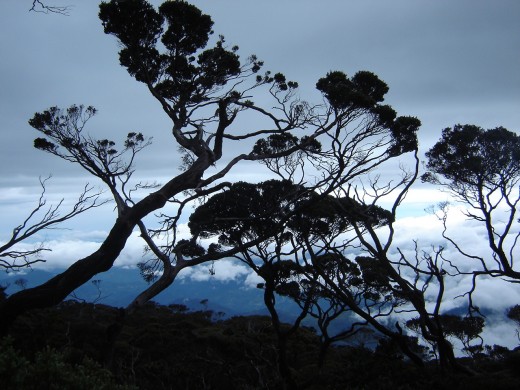 View from Laban Rata