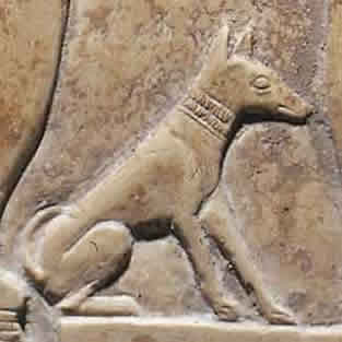 Dog sculpture in a cave