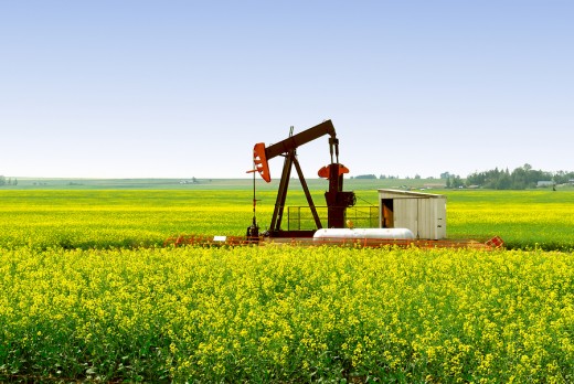 Pump jack in southern Alberta -- a common sight throughout the province.