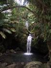 El Yunque Waterfall