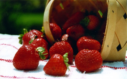 Still life of Strawberries.