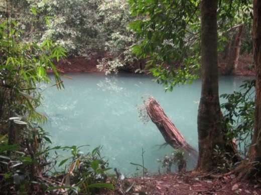 The emerald blue stream inside the Rain-forest!
