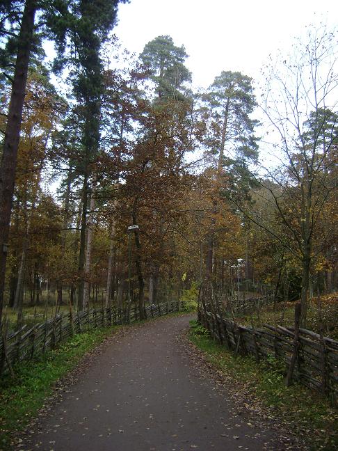 Nature trail at Gamla Linkoping for a relaxing walk
