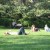 Locals and visitors enjoy a sunny day on Bishop's Lawn at the National Cathedral Locals and visitors enjoy a sunny day on Bishop's Lawn at the National Cathedral