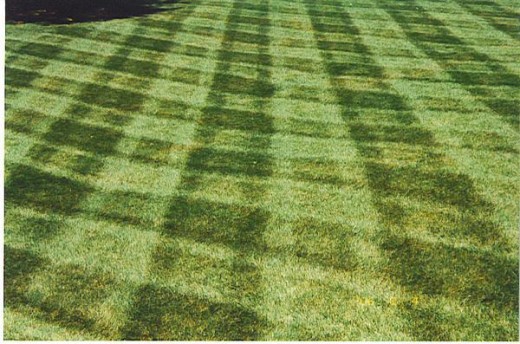 Commercial Lawn Care Accounts